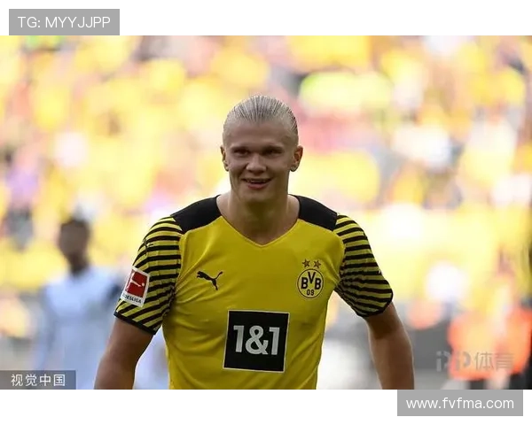 哈兰德多特时期核心表现回顾：进球效率与战术作用分析