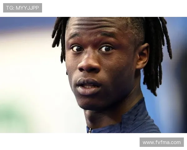 卡马文加全能但不精？多面手角色适应性与上限分析